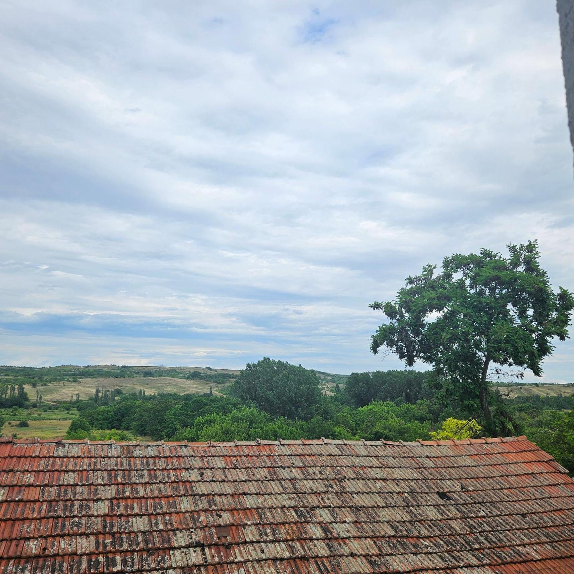 Arаbeska Family Winery & Apartments カヴァダルツィ エクステリア 写真